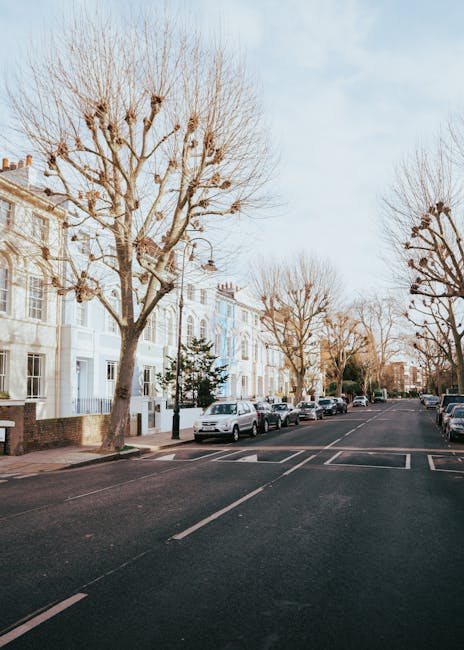 A quiet residential street in Maida Vale with a row of white Victorian-style terraced houses featuring large bay windows and brickwork details. The wide pavement is lined with leafless trees, spaced evenly along the edge of the sidewalk, their branches pruned back with numerous thick, cut stumps visible. Several cars, including compact city models and small estates, are parked along the curb on both sides of the street, facing forward. The road surface appears dark asphalt with faint white lines used for parking bays and lane divisions. A black lamp post stands near the trees, and the sky overhead is lightly overcast with soft, diffuse daylight illuminating the scene. In the foreground, a collection of discarded rubbish, such as cardboard boxes and plastic bags, is partially obscured by the shadowed edge of the pavement, suggesting this may be the site of a private waste collection or rubbish removal service, such as Rubbish Removal Maida Vale, preparing for on-site clearance or alternative waste handling. The scene is devoid of pedestrians, emphasizing a calm, residential atmosphere perfect for independent rubbish removal or scheduled waste collection in the area.