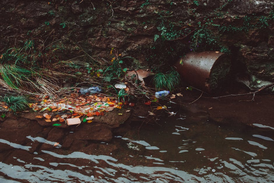 A section of riverbank or shoreline featuring scattered litter including plastic bottles, beverage cans, paper wrappers, and biodegradable packaging among fallen leaves and green plants. A large rusty metal pipe extends horizontally from a rocky cliff face or wall, partially embedded in the ground at the water's edge. The surrounding environment includes dark brown, damp soil and rocks, with some vegetation such as grasses and small plants growing near the litter. The water in the foreground appears calm, with gentle ripples reflecting faint light. The scene suggests a natural outdoor area experiencing rubbish accumulation, highlighting the importance of private waste disposal and alternative rubbish removal methods, as addressed by Rubbish Removal Maida Vale, to maintain environmental quality. The image emphasizes the impact of improper rubbish disposal in outdoor settings and the need for professional rubbish removal services to handle waste responsibly and effectively in residential or natural environments.