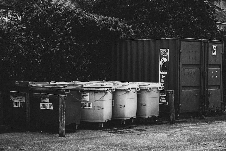 A row of six large wheelie bins positioned on a paved area, primarily made of plastic with textured surfaces. The first bin on the left is dark-colored, marked with a label indicating it is for paper recycling, and features a closed lid. Adjacent to it are five white bins with safely secured lids, all aligned in a straight line, with some labels visible but partially obscured. Next to the bins, there's a black, corrugated metal storage container with a latch, standing on the right side of the frame, and a smaller black stand or sign with white text leaning against the container, indicating disposal guidelines or restrictions. The background consists of dense foliage and overhanging tree branches, creating a natural canopy above the containers. The scene is illuminated by natural daylight, casting soft shadows on the ground. The arrangement and environment suggest a designated area for extraneous waste management or an alternative to council waste collection, managed by Rubbish Removal Maida Vale, supporting private disposal needs within a residential or commercial setting.